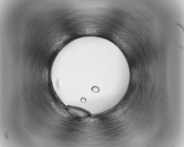 X0000098140542200805081022