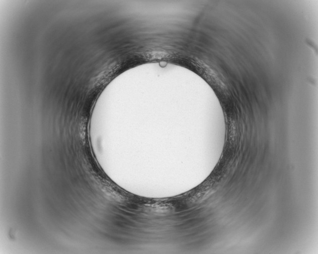 X0000098140545200805081022