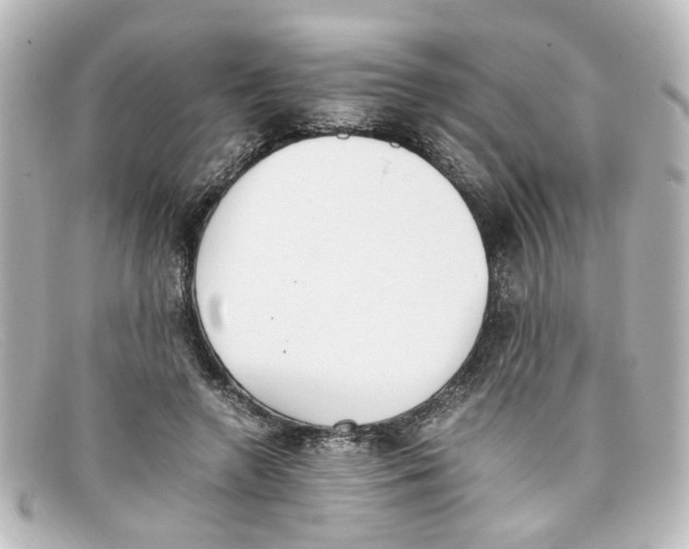 X0000098140546200805081022