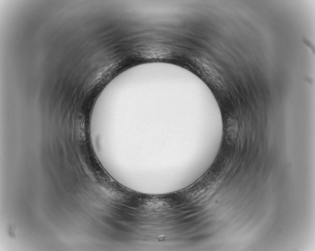 X0000098140547200805081022