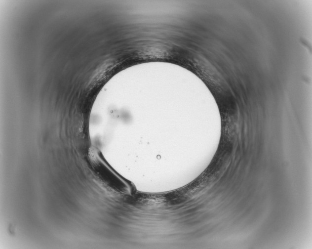 X0000098140548200805081022