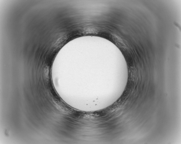 X0000098140550200805081022