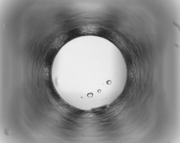 X0000098140551200805081022