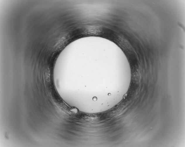 X0000098140552200805081022