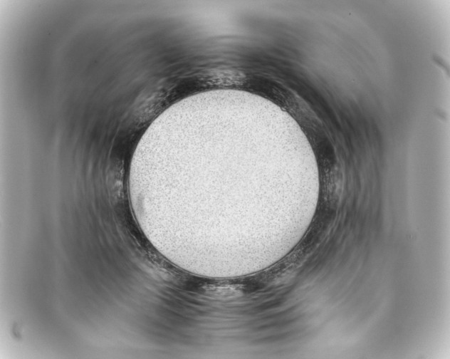 X0000098140553200805081022