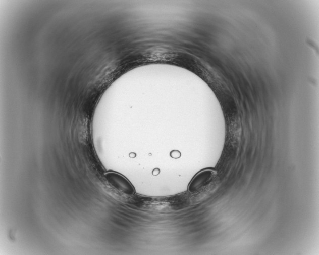 X0000098140554200805081022