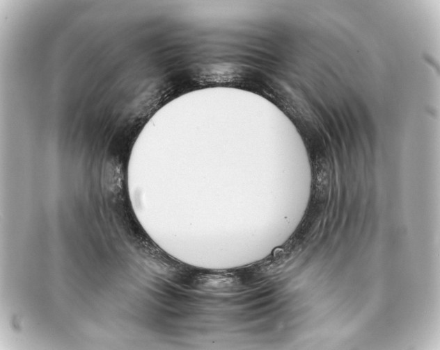 X0000098140555200805081022