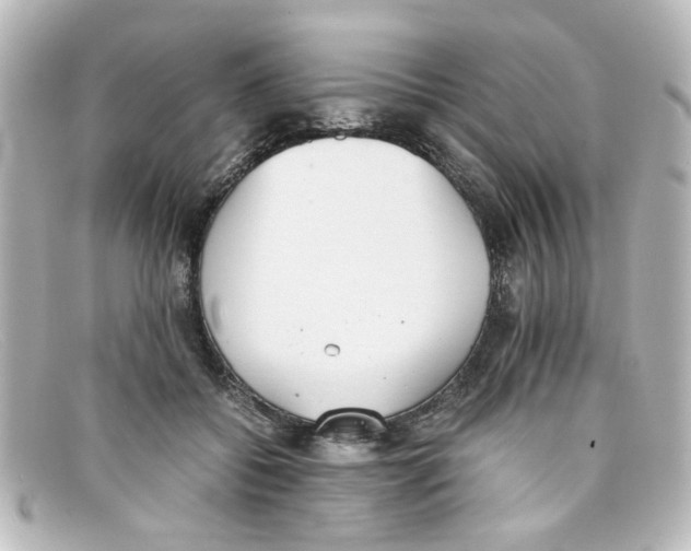 X0000098140556200805081022