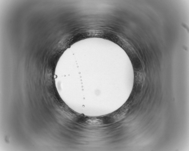 X0000098140557200805081022