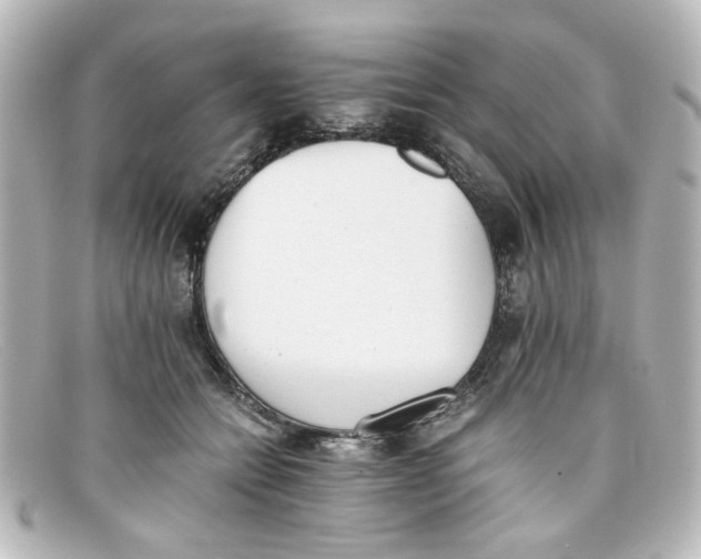 X0000098140558200805081022