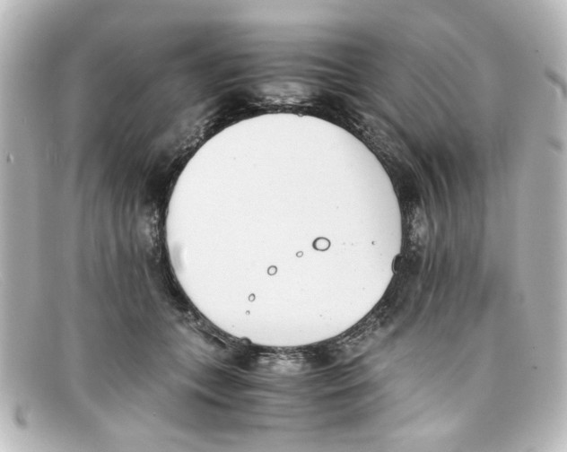 X0000098140559200805081022