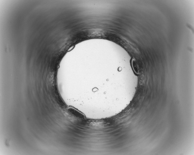 X0000098140560200805081022