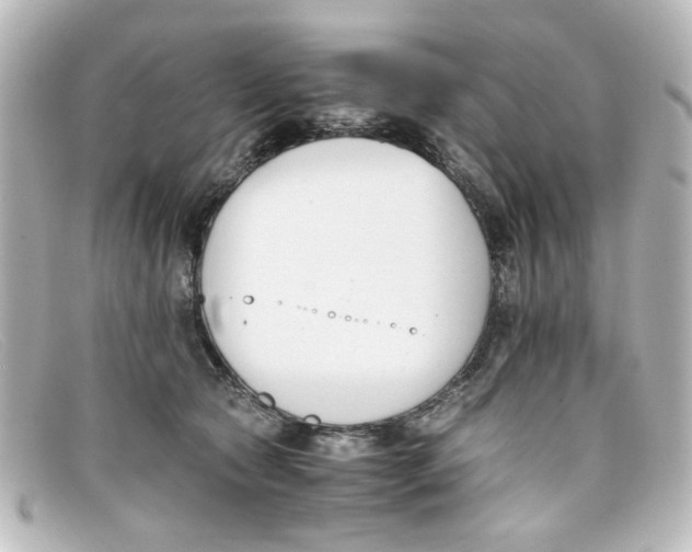 X0000098140561200805081022