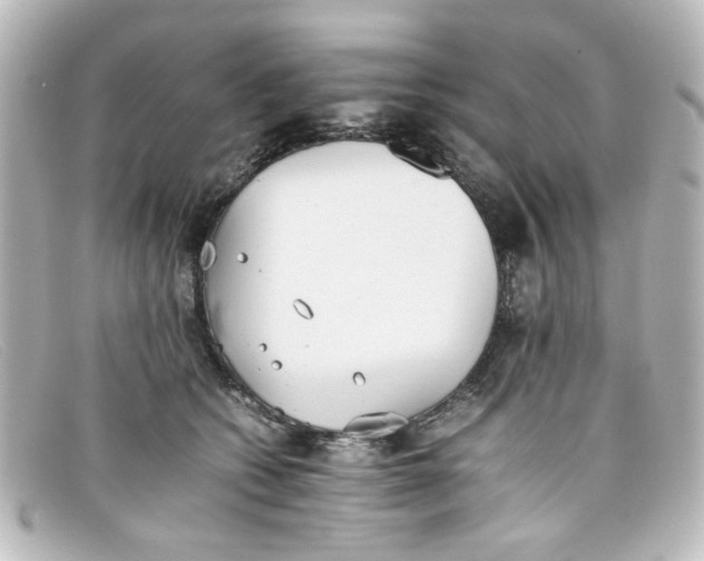 X0000098140562200805081022