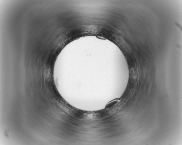 X0000098140564200805081022