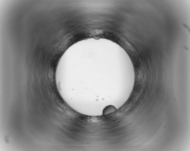 X0000098140565200805081022