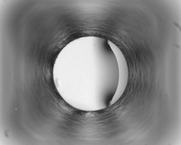 X0000098140566200805081023