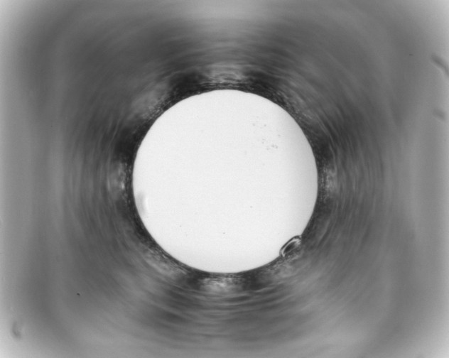 X0000098140567200805081023