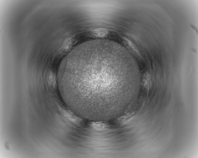 X0000098140568200805081023