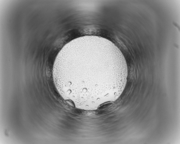 X0000098140569200805081023