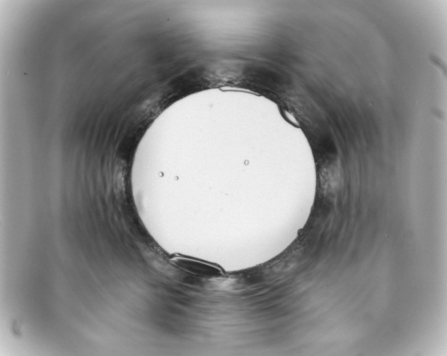 X0000098140570200805081023