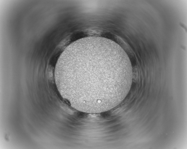 X0000098140573200805081023