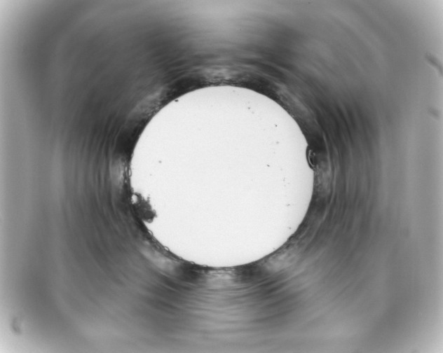 X0000098140574200805081023