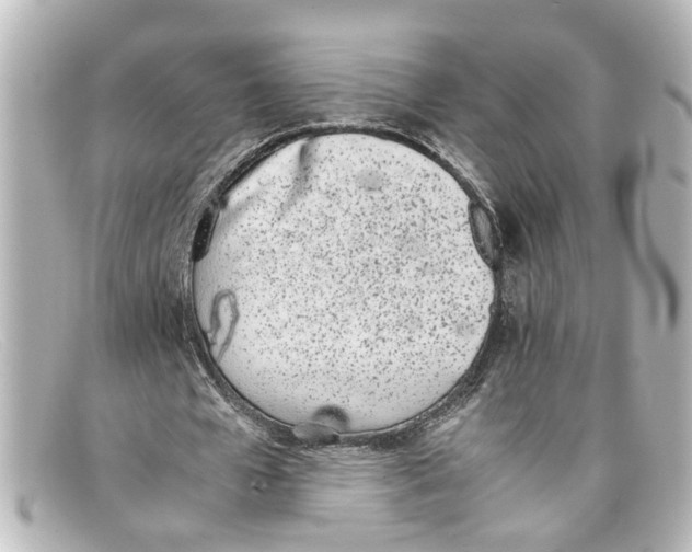 X0000098140577200805081022