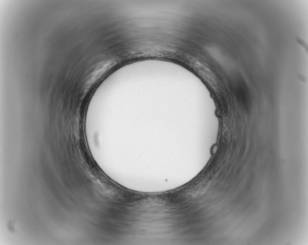 X0000098140578200805081022