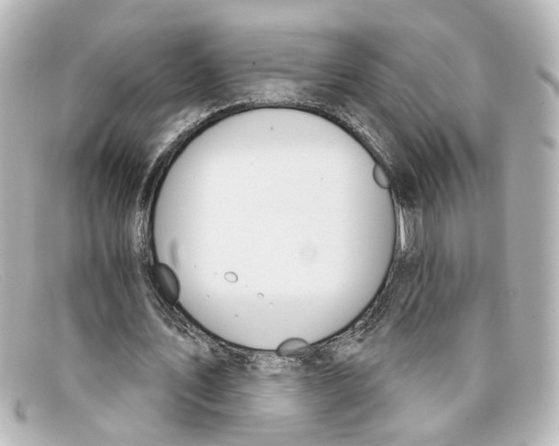 X0000098140579200805081022