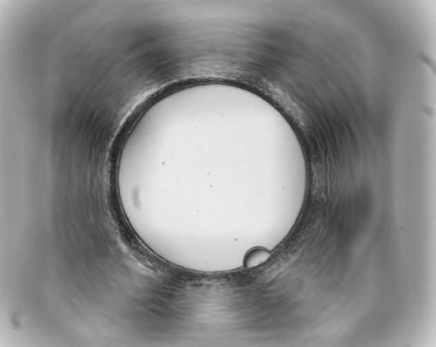 X0000098140580200805081022