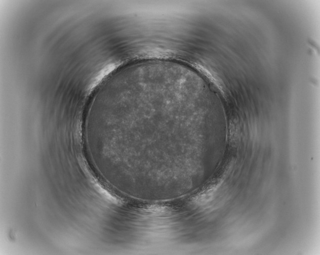 X0000098140581200805081022