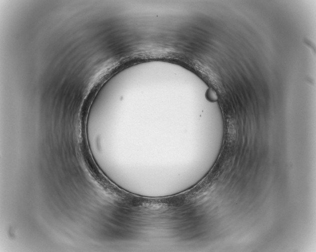 X0000098140582200805081022