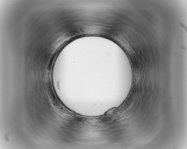 X0000098140583200805081022