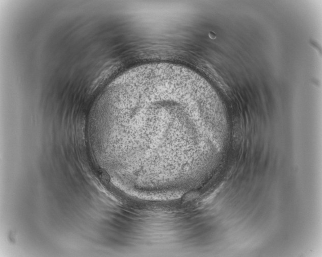 X0000098140585200805081022