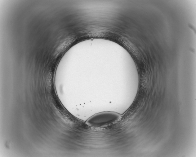 X0000098140586200805081022