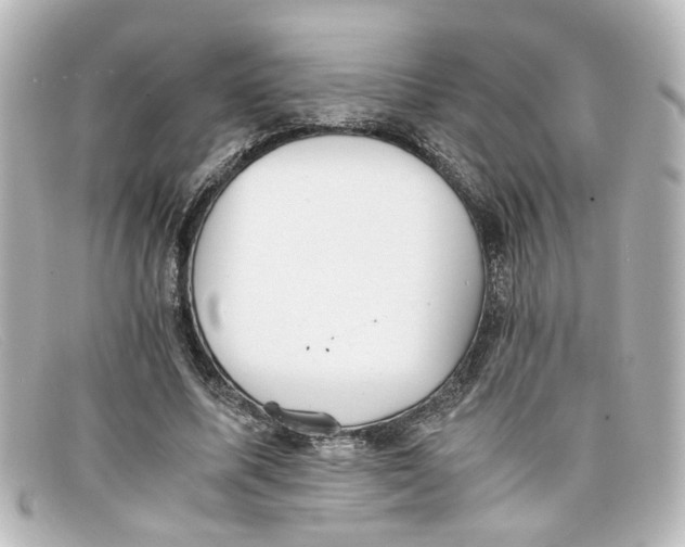 X0000098140587200805081022