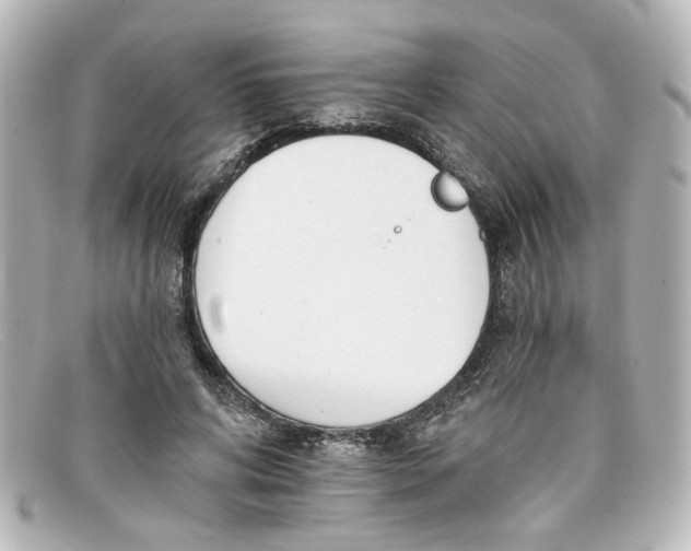 X0000098140592200805081022