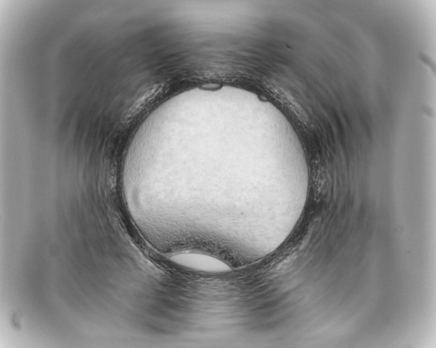 X0000098140593200805081022