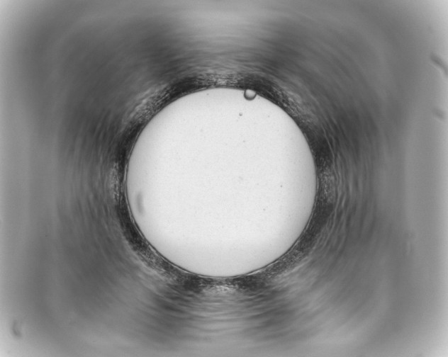 X0000098140594200805081022