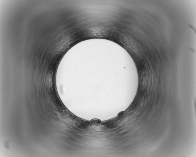 X0000098140595200805081022