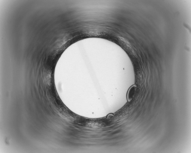 X0000098140596200805081022