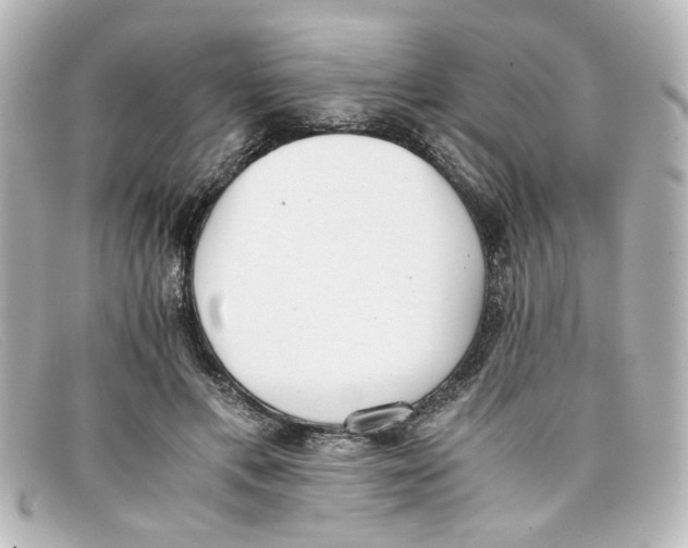 X0000098140597200805081022