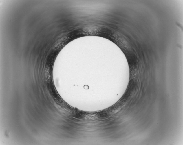 X0000098140599200805081022