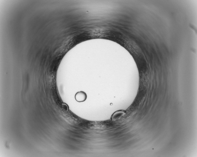 X0000098140601200805081022