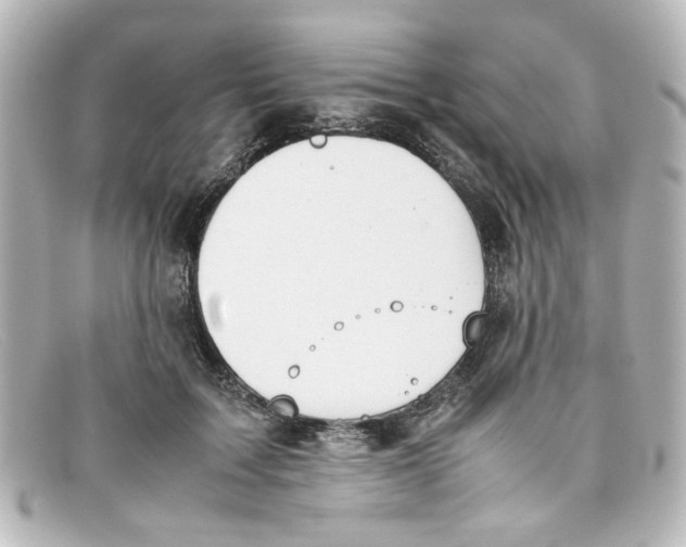 X0000098140603200805081022