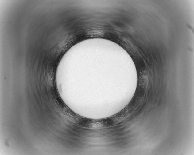 X0000098140604200805081022