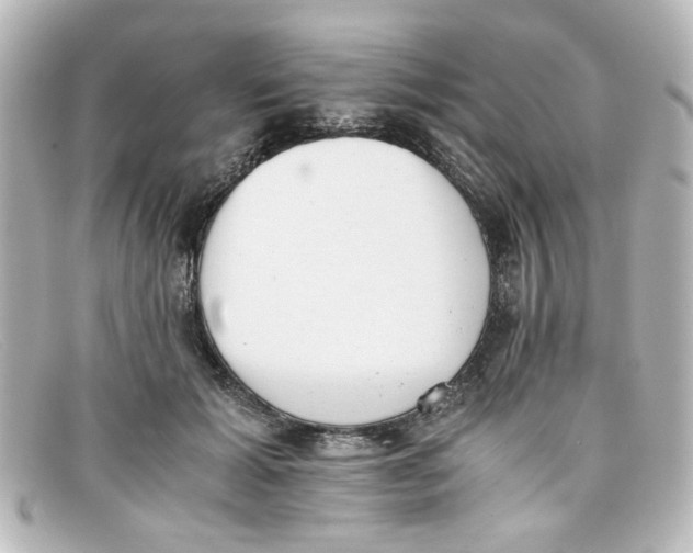 X0000098140605200805081022