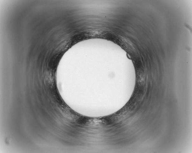 X0000098140607200805081022