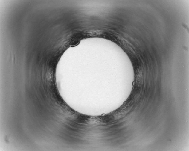 X0000098140608200805081022